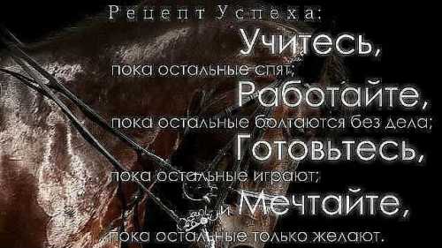 жизнь в старости