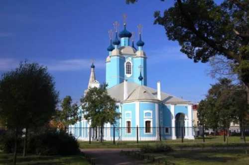 интересные факты о розах